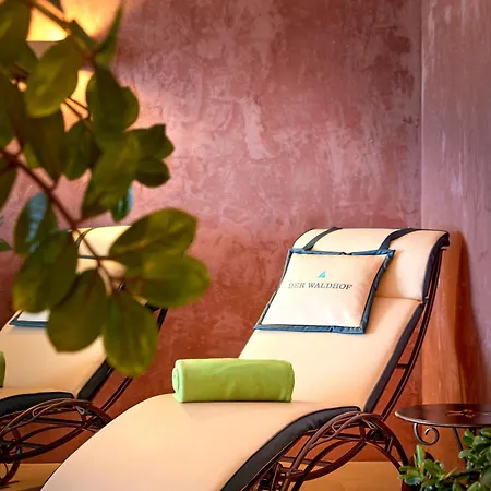 Der Waldhof - Unique - A Hidden Gem 4* Санкт-Антон-ам-Арльберг